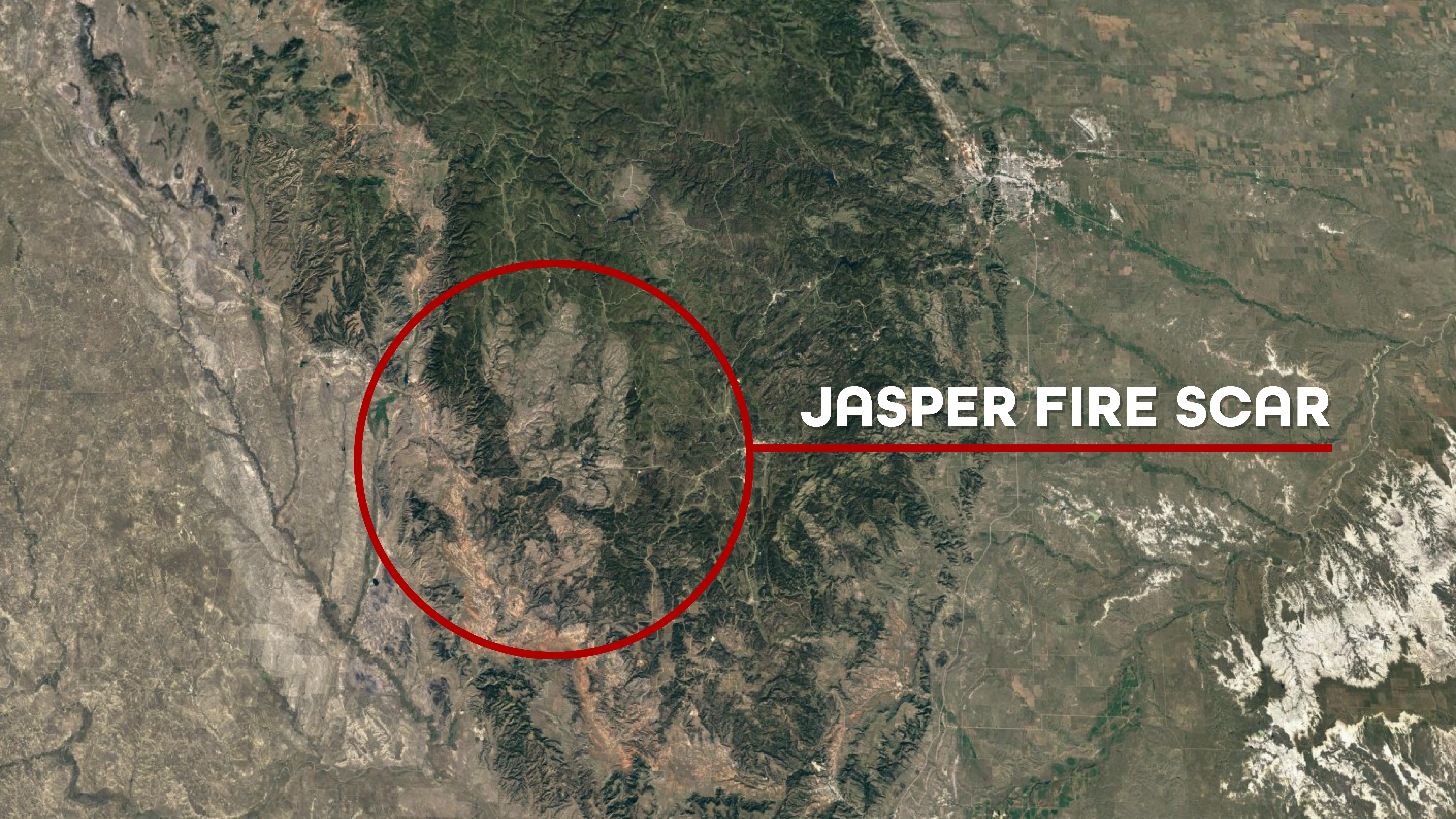 Forest Service Works To Erase The Jasper Fire Scar In Black Hills